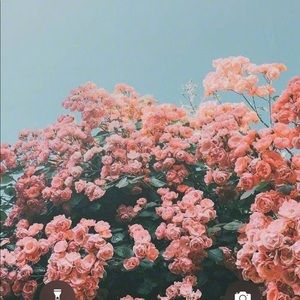 Meet your Posher, Whitney